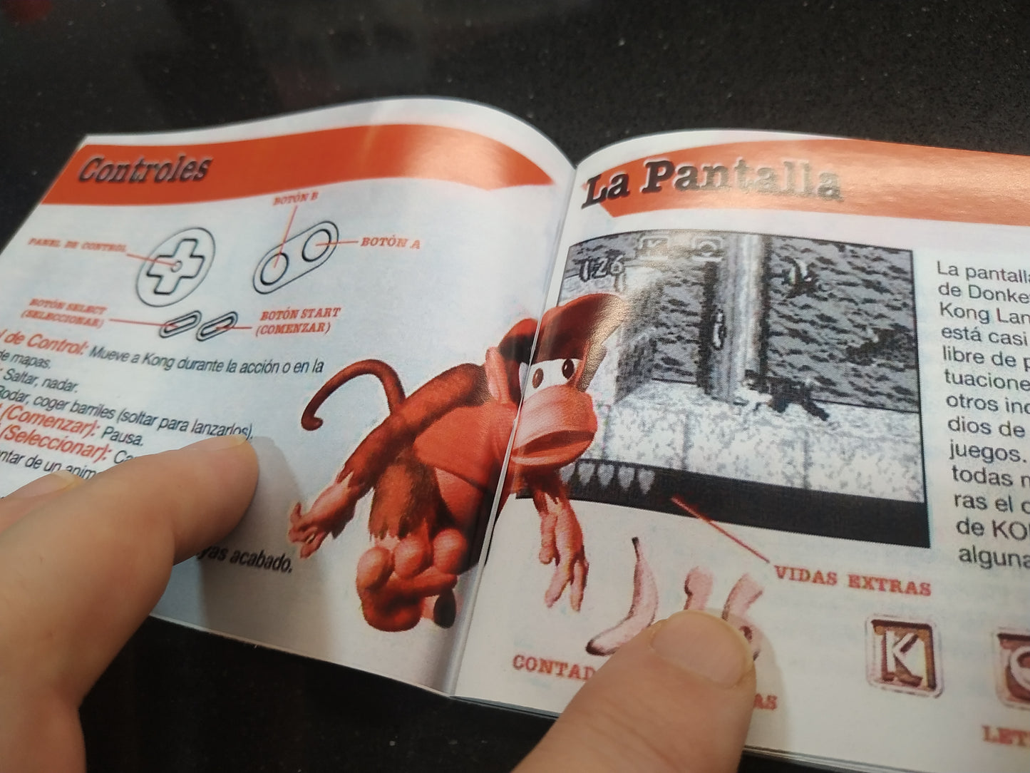 Manual de reemplazo Donkey Kong Land