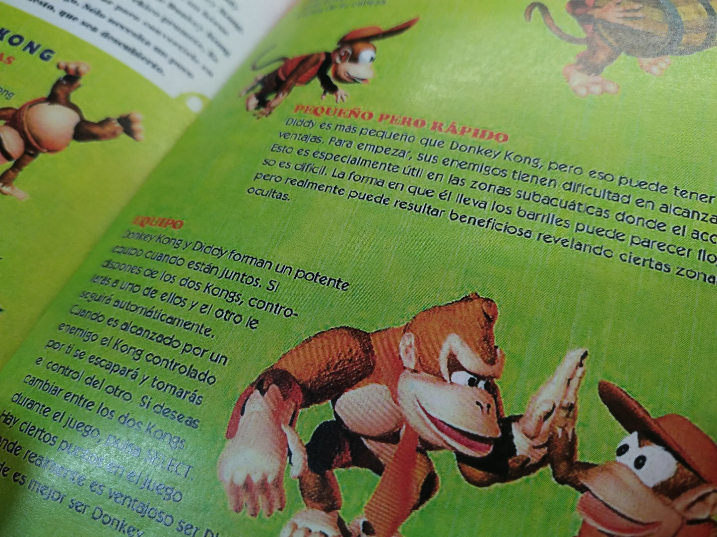 Manual de reemplazo Donkey Kong Country