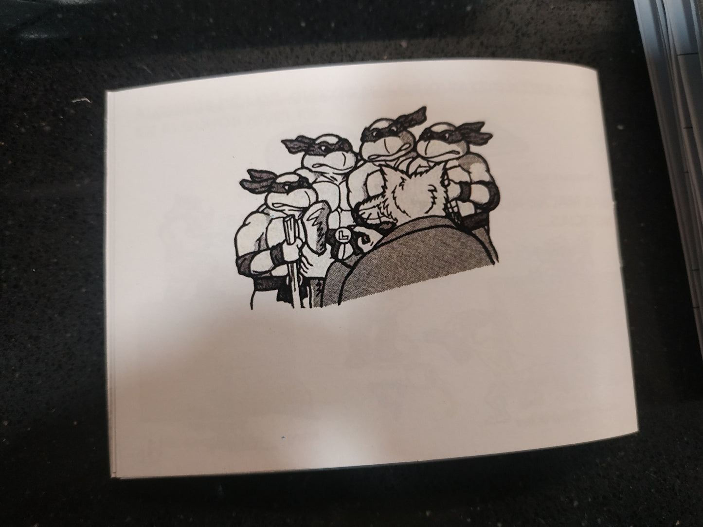 Caja de reemplazo Turtles 2 - Back from the sewers