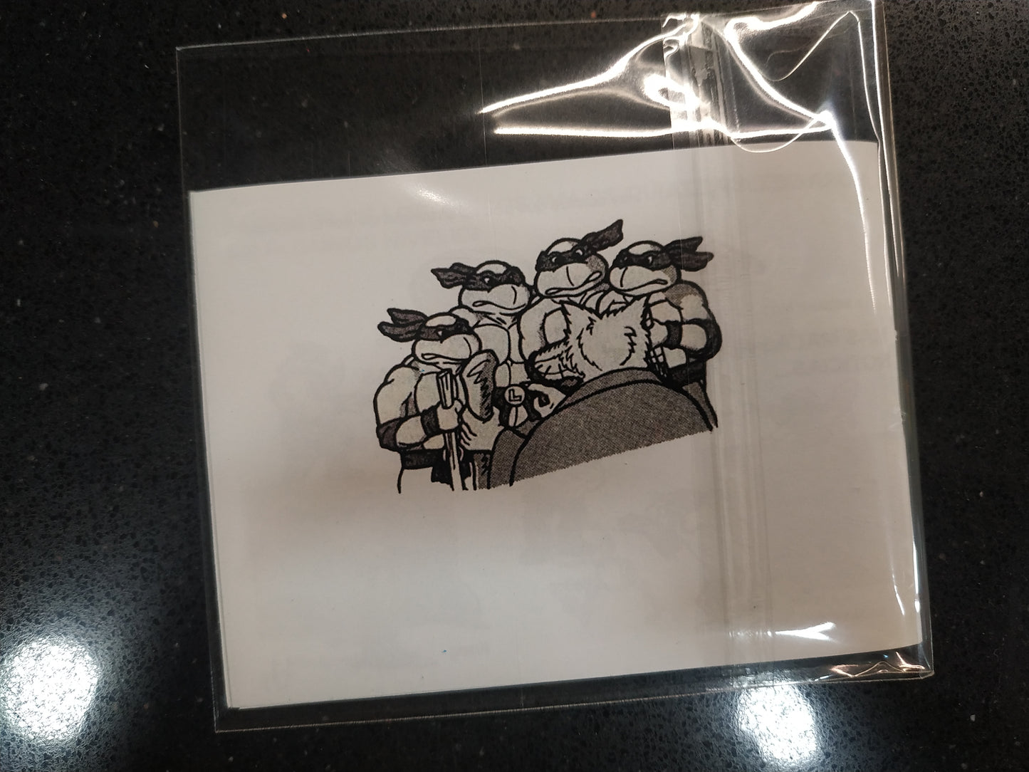 Caja de reemplazo Turtles 2 - Back from the sewers