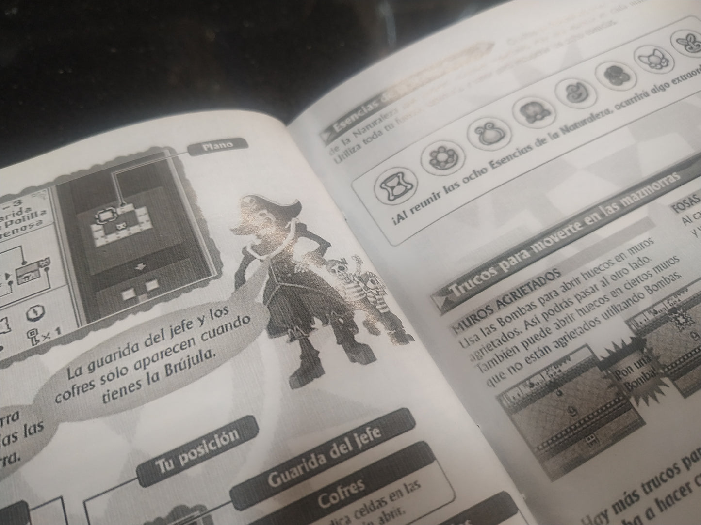 Manual de reemplazo Zelda - Oracle of Seasons