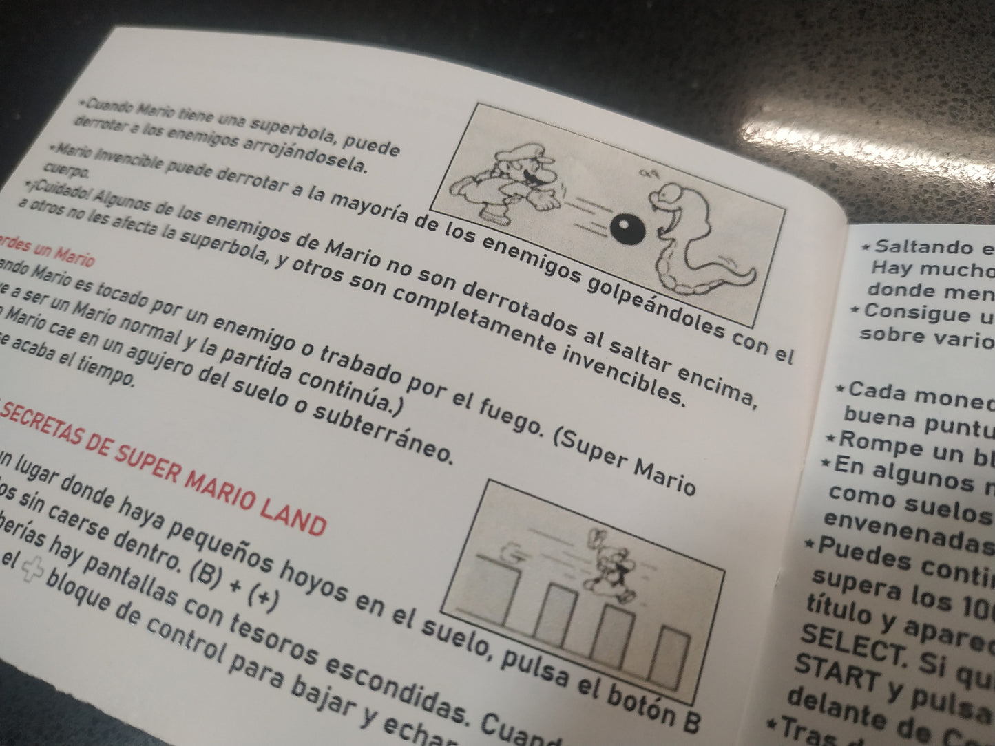 Manual de reemplazo The Simpsons - Bart VS The World