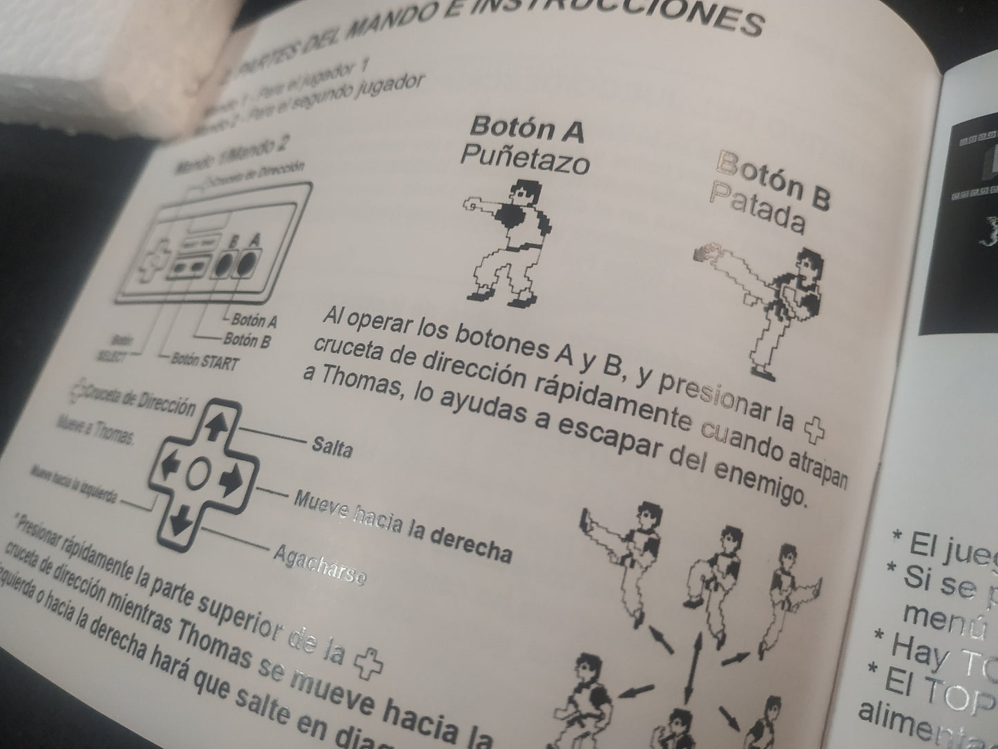 Manual de reemplazo Kung Fu