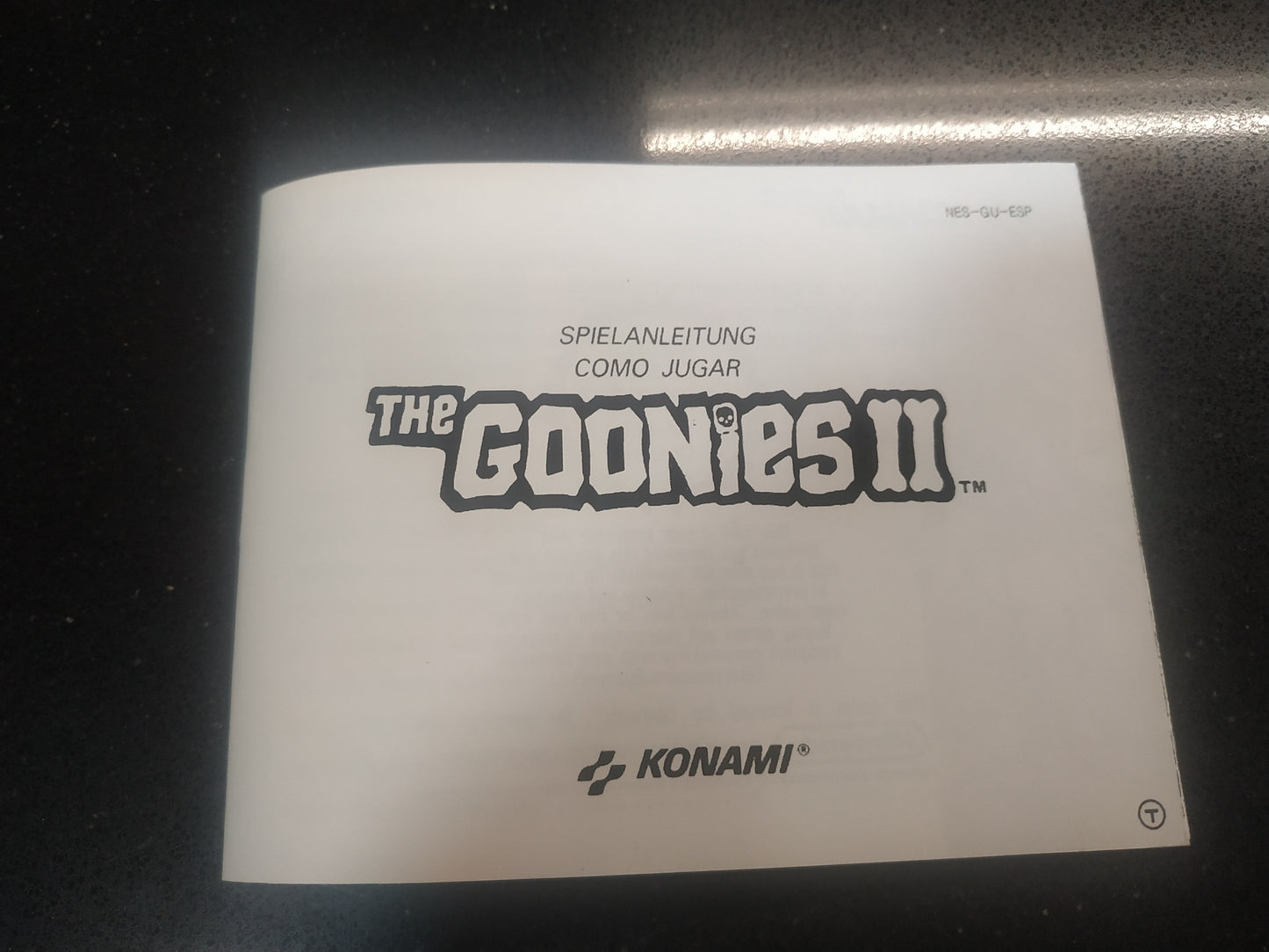 Manual de reemplazo The Goonies II