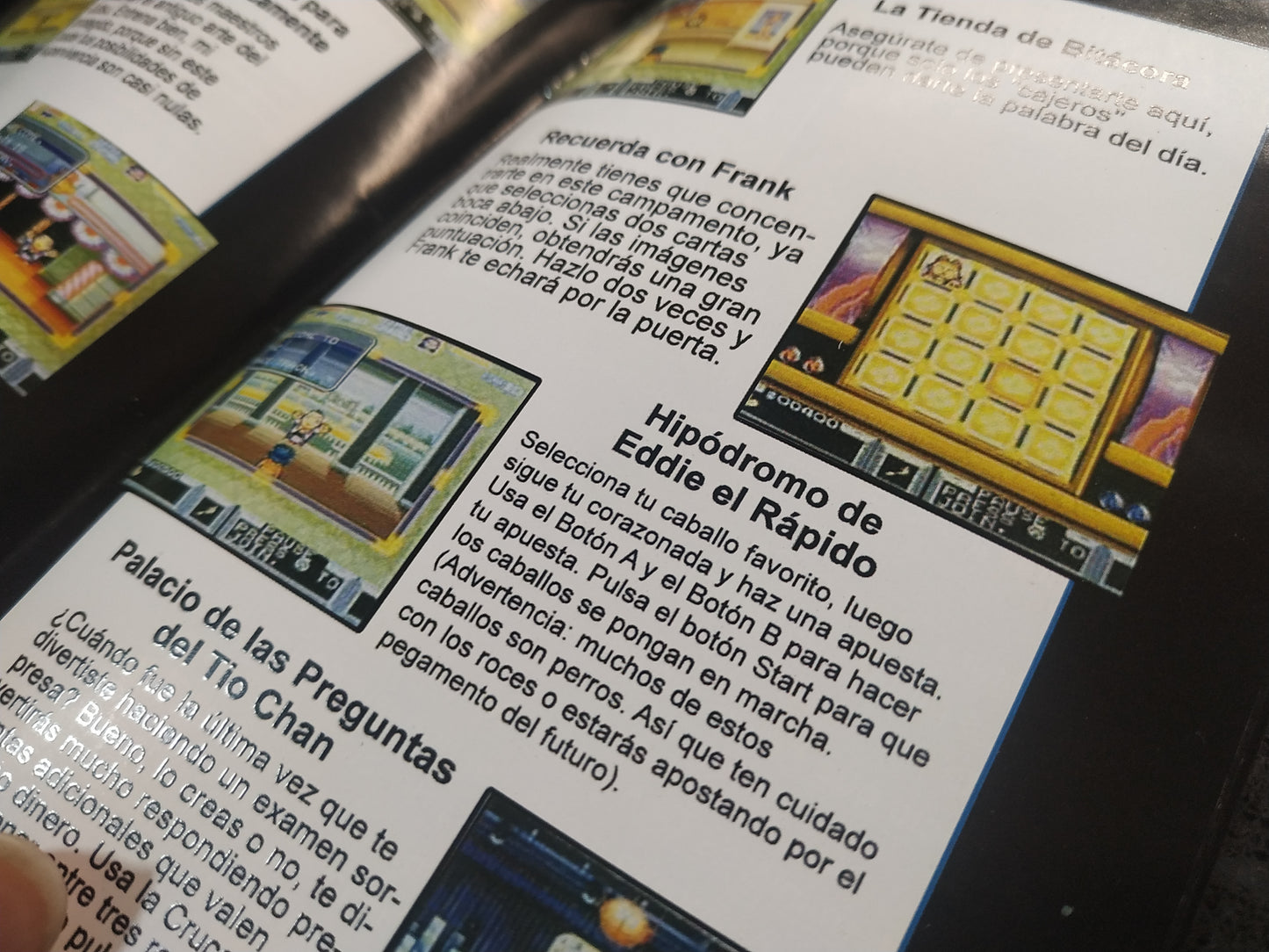 Manual de reemplazo The Legend of the Mystical Ninja