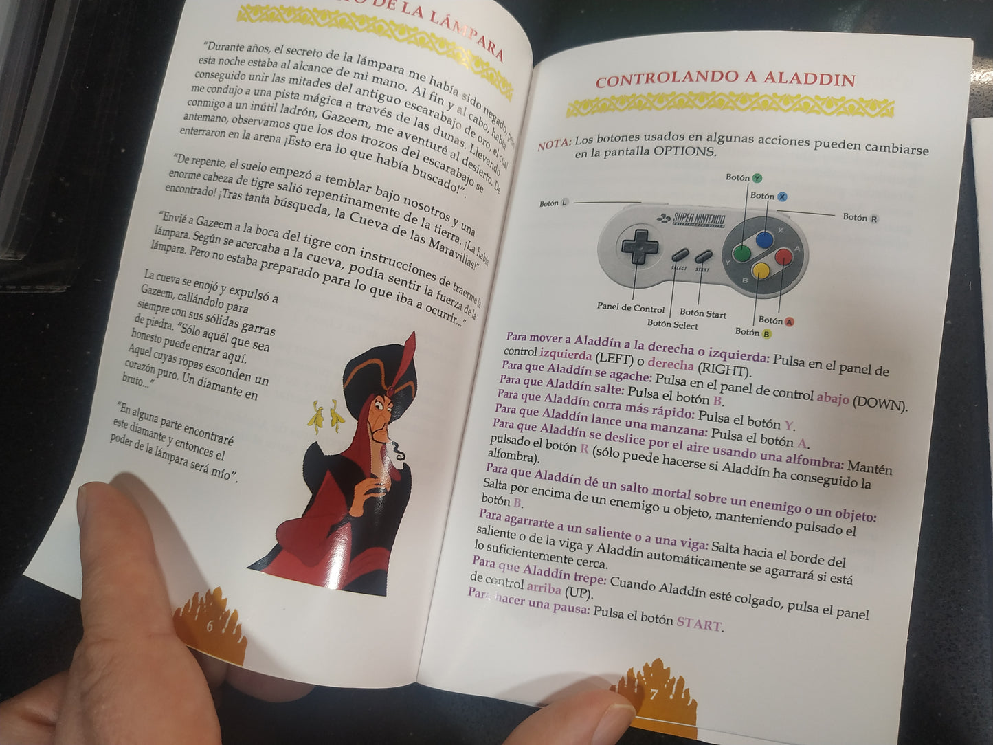 Manual de reemplazo Aladdin
