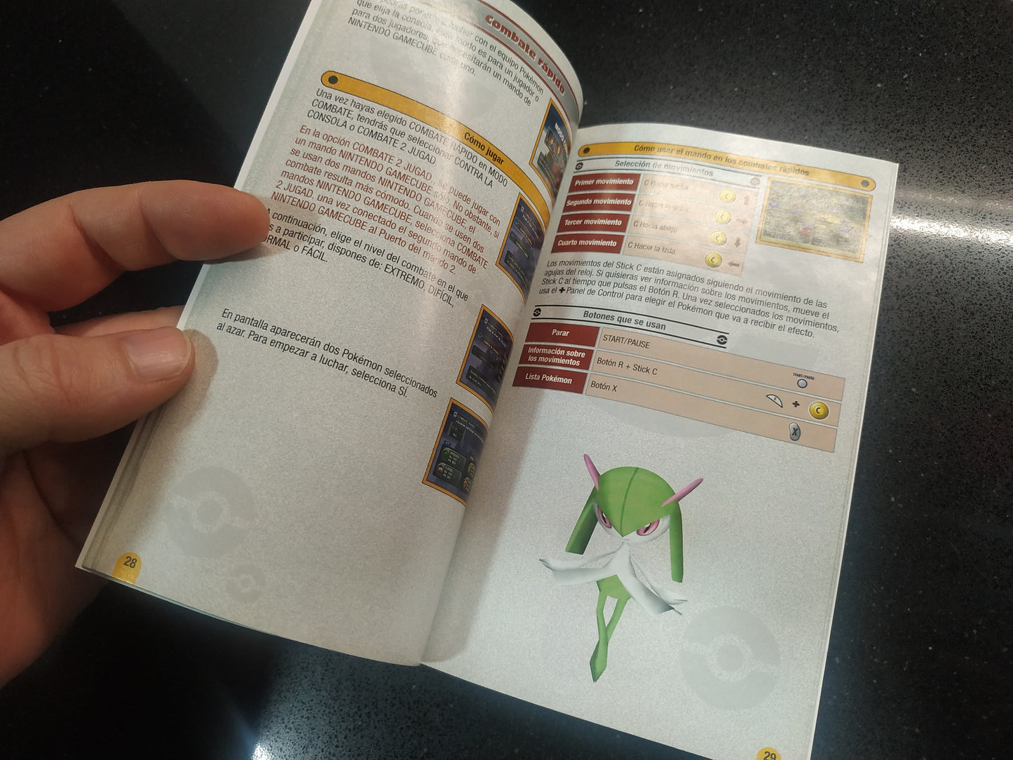 Caja de reemplazo Pokémon XD Tempestad Oscura