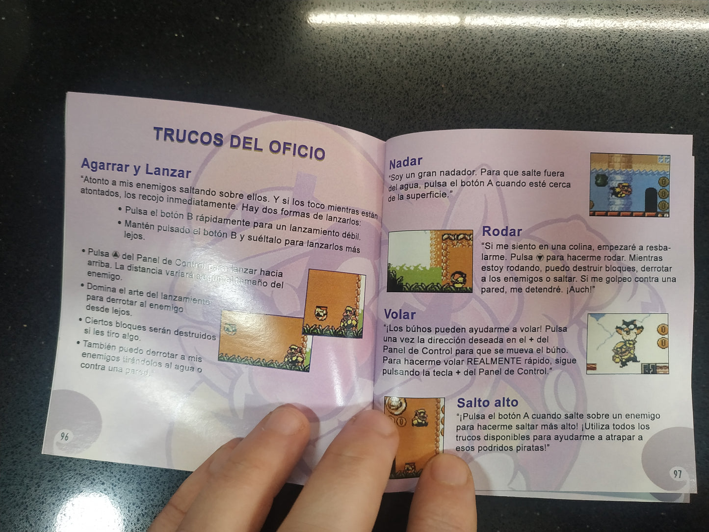 Manual de reemplazo Wario Land II