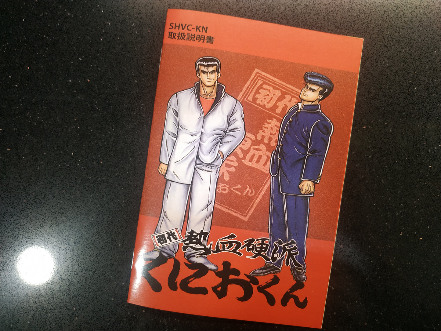 Manual de reemplazo River City Ransom 2