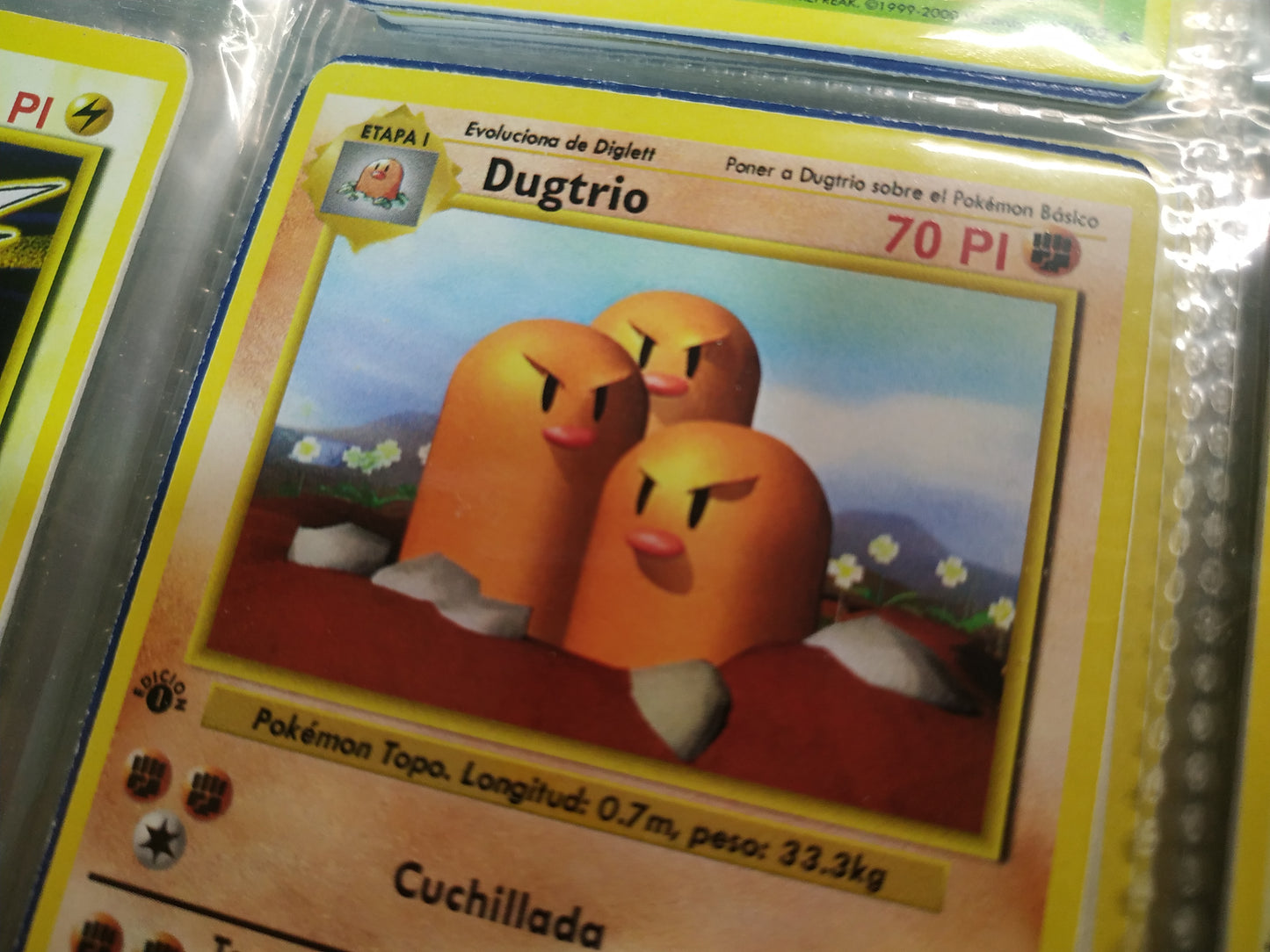 Carta Dugtrio Edición 1