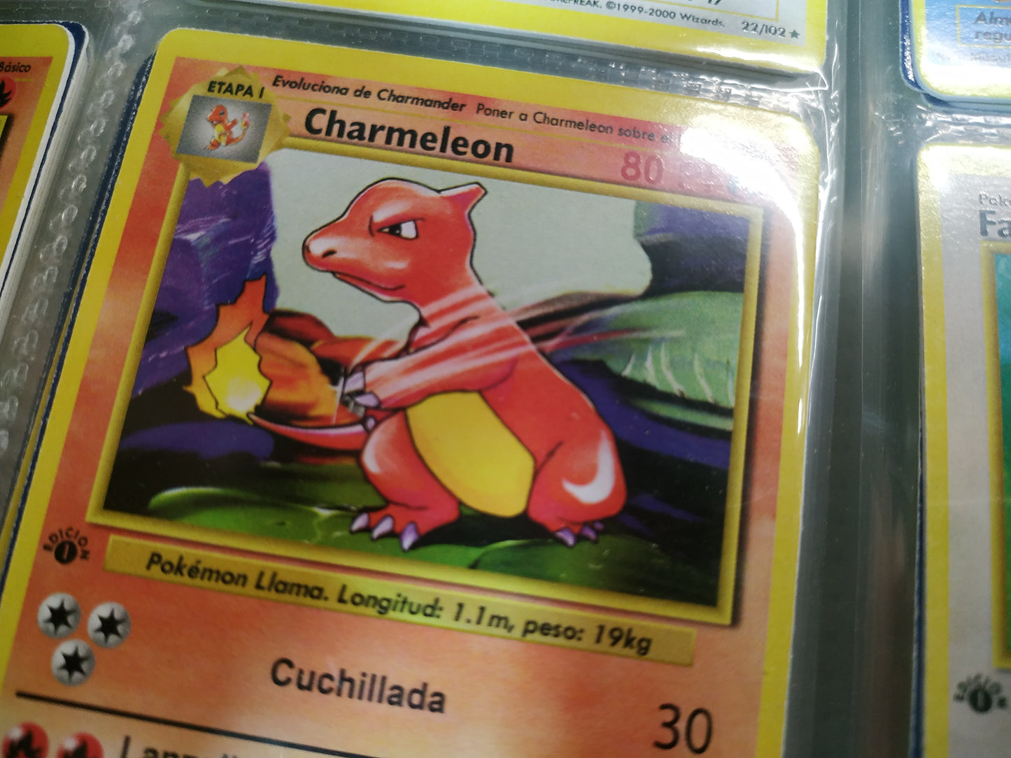 Carta Charmeleon Edición 1