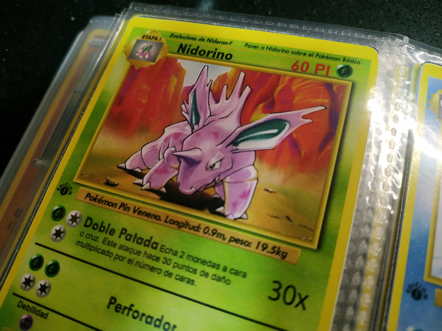 Carta Nidorino Edición 1