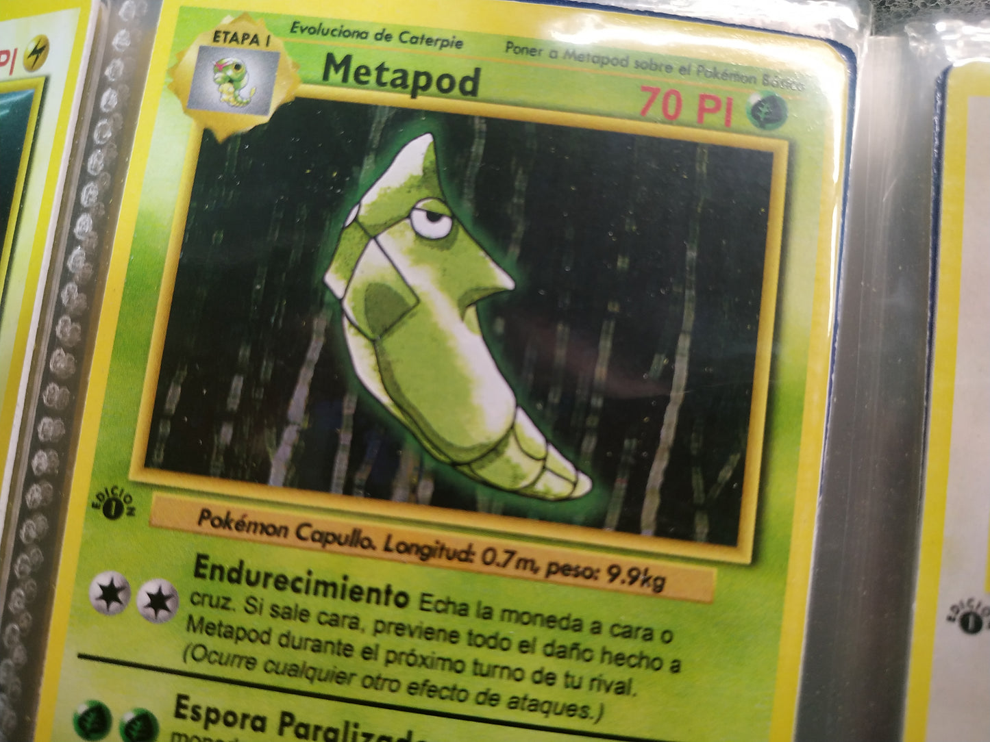 Carta Metapod Edición 1