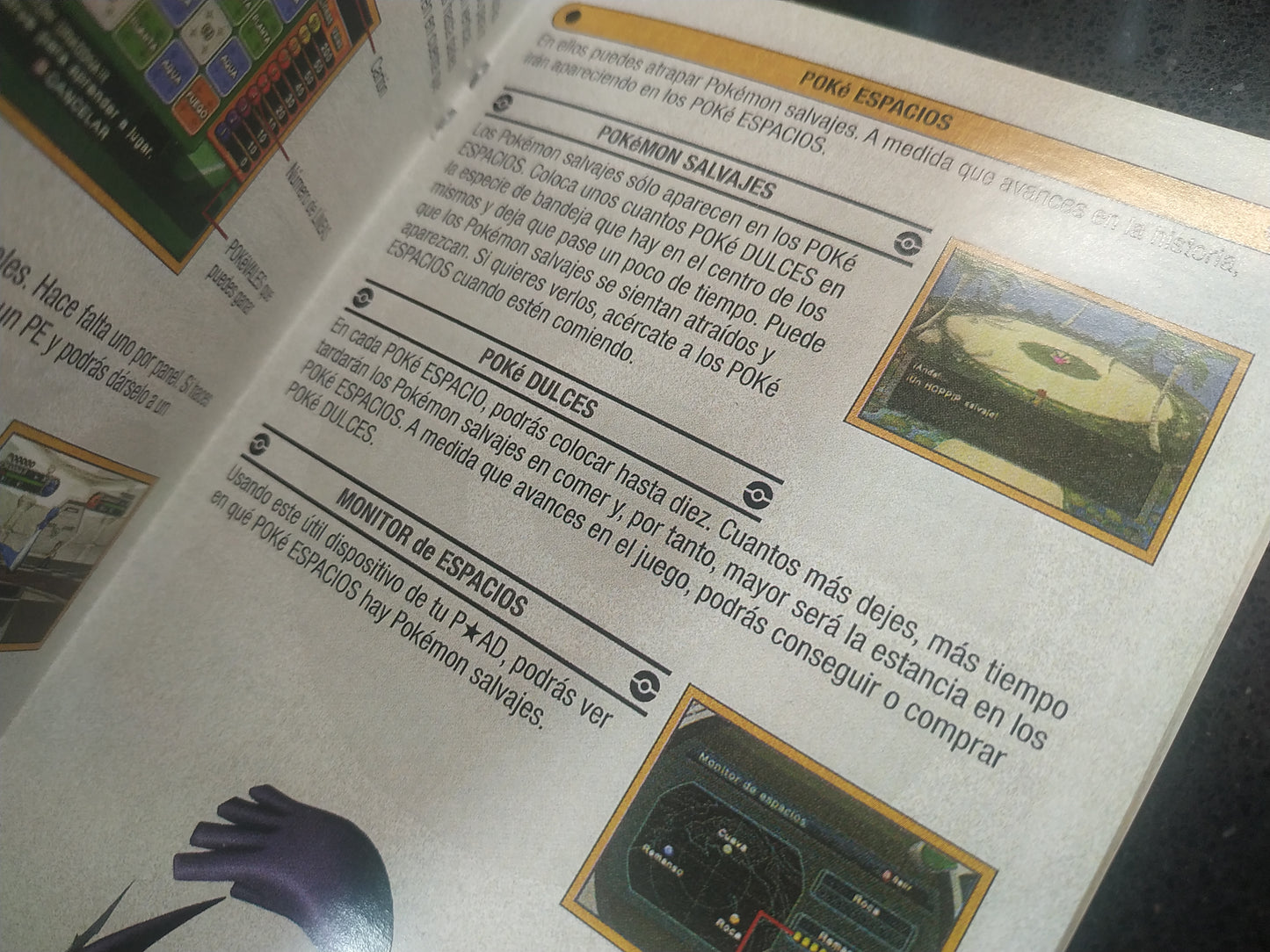 Manual de reemplazo Pokémon XD Tempestad Oscura