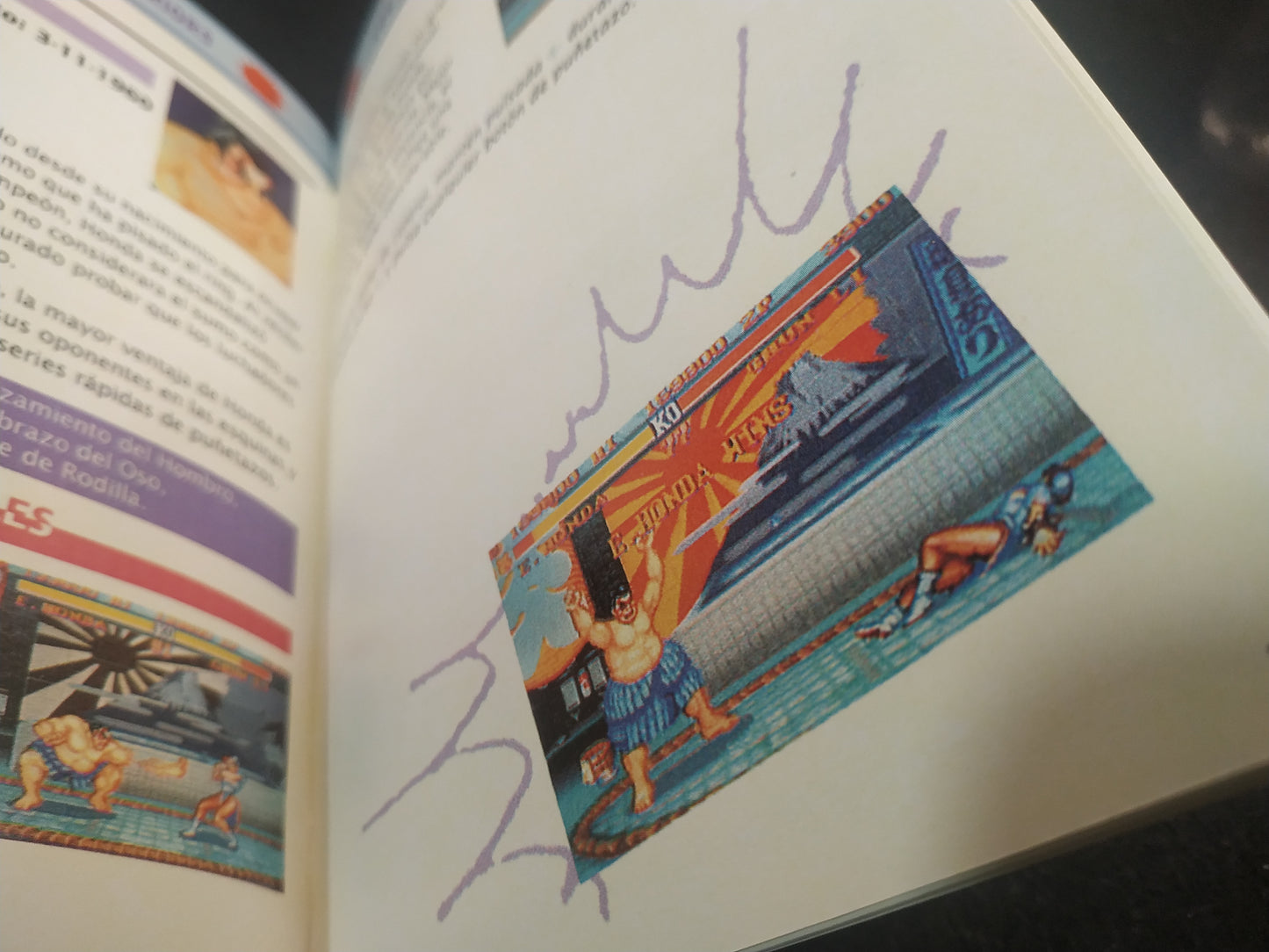 Manual de reemplazo Street Fighter 2