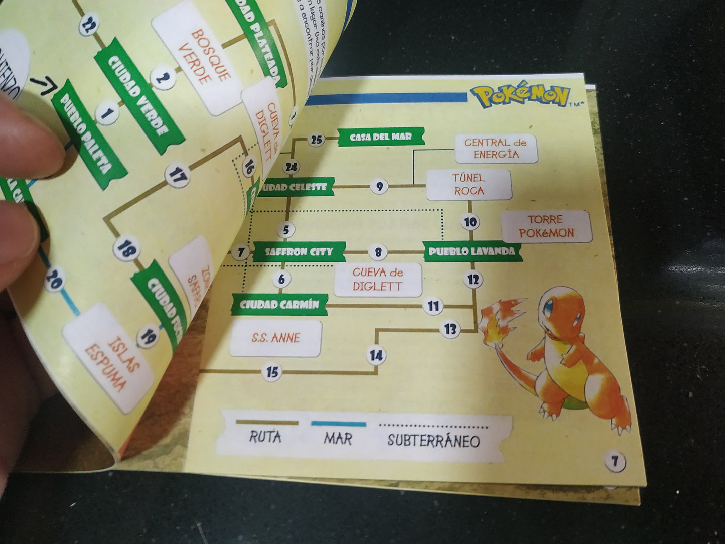 Caja de reemplazo Pokémon Azul