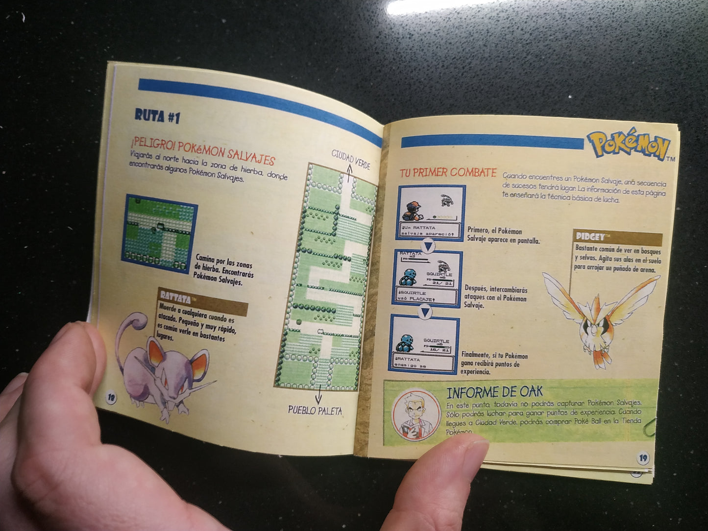 Manual de reemplazo Pokémon Rojo / Azul
