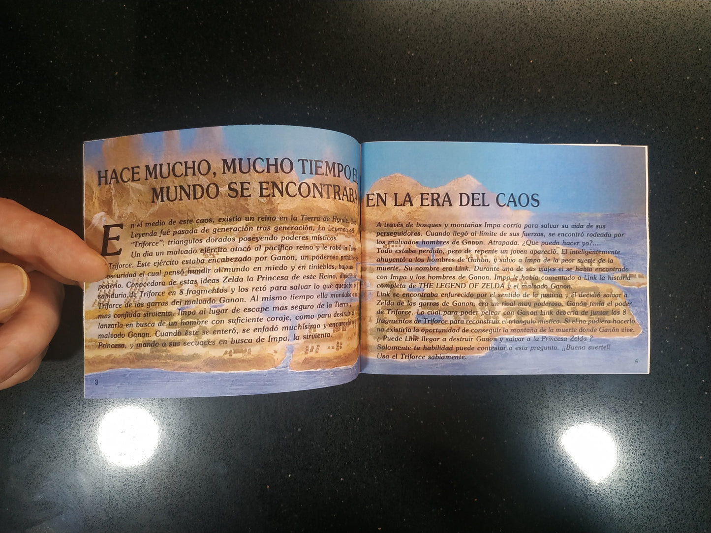 Manual de reemplazo The Legend of Zelda