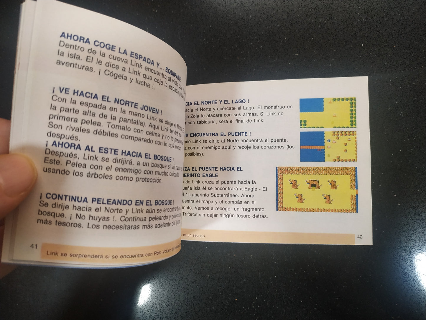 Manual de reemplazo The Legend of Zelda