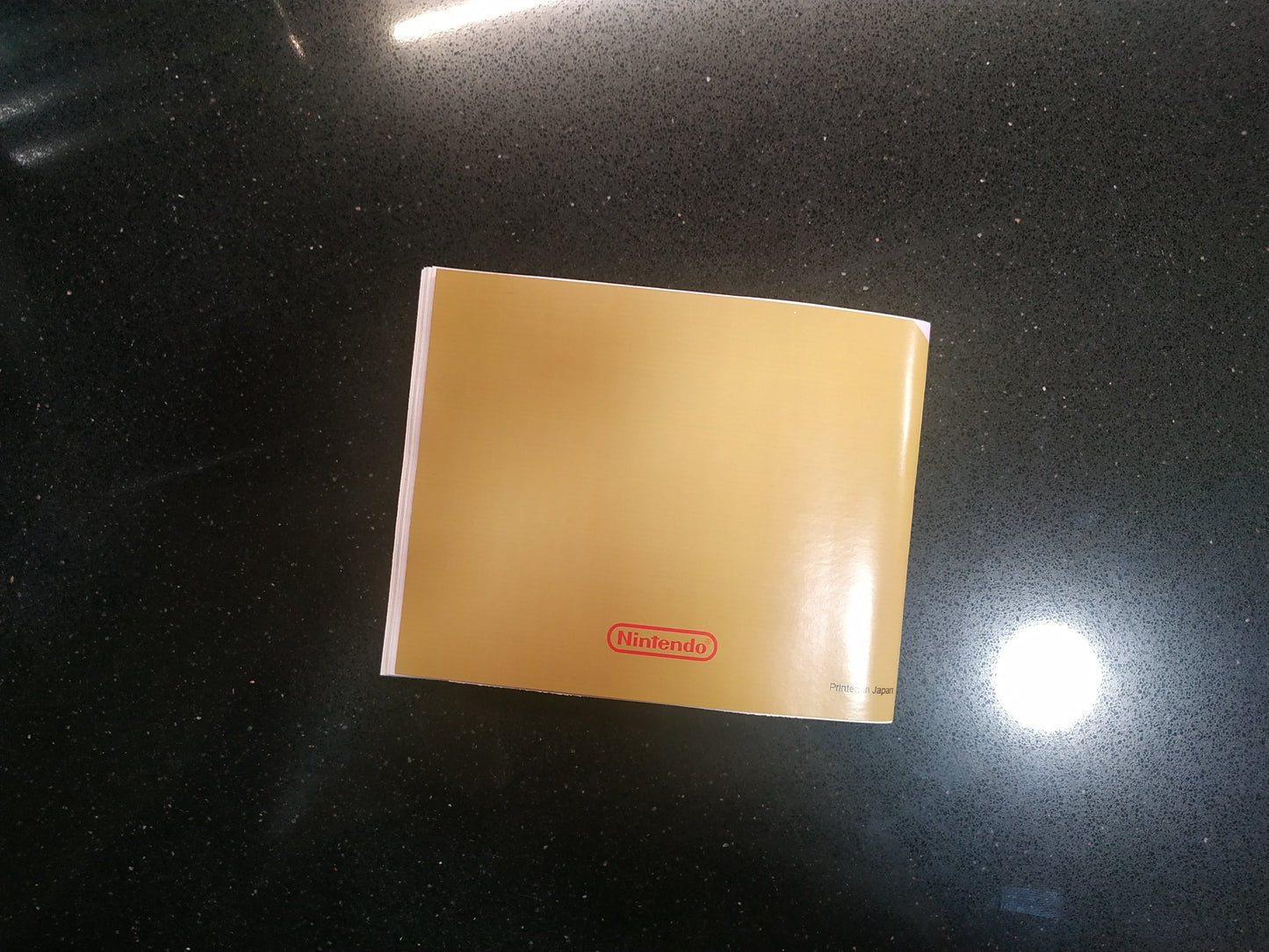 Manual de reemplazo The Legend of Zelda
