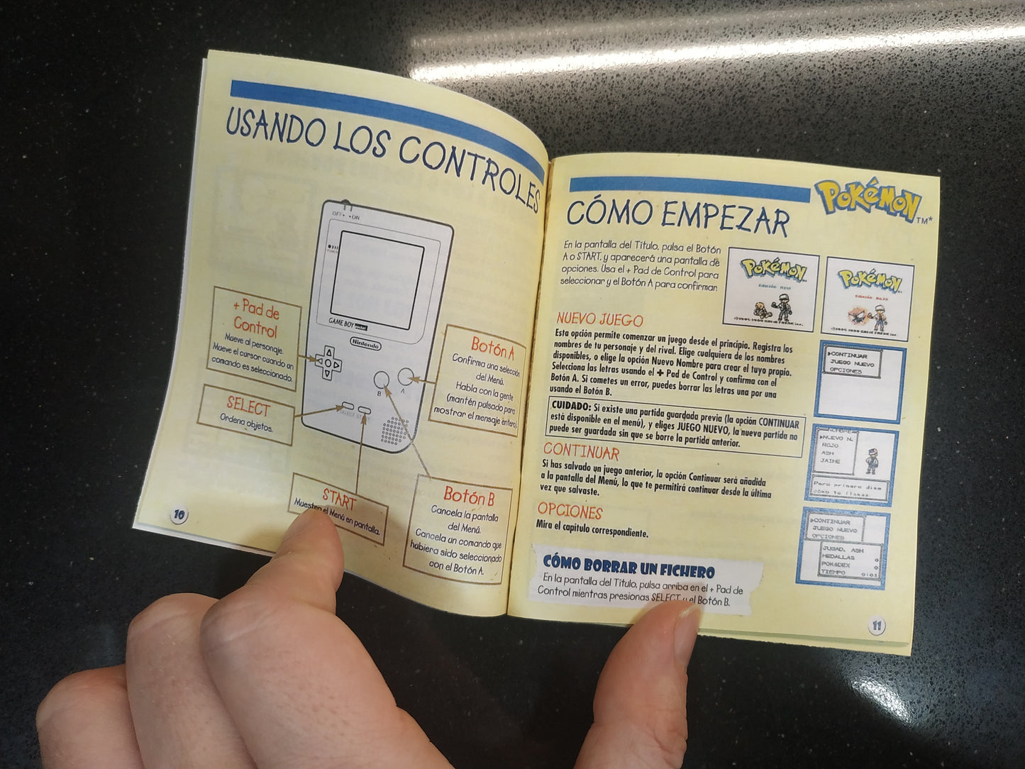 Caja de reemplazo Pokémon Azul