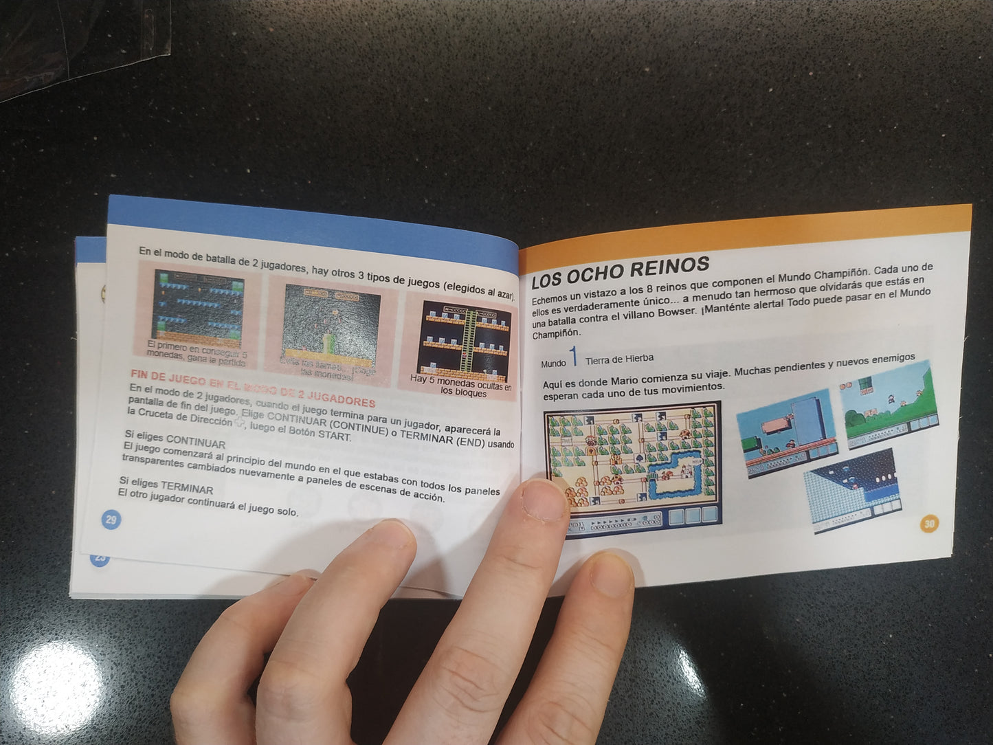 Manual de reemplazo Super Mario Bros 3