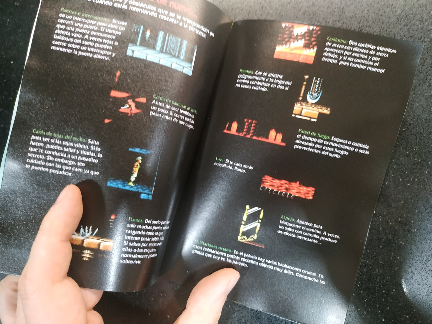 Manual de reemplazo Prince of Persia