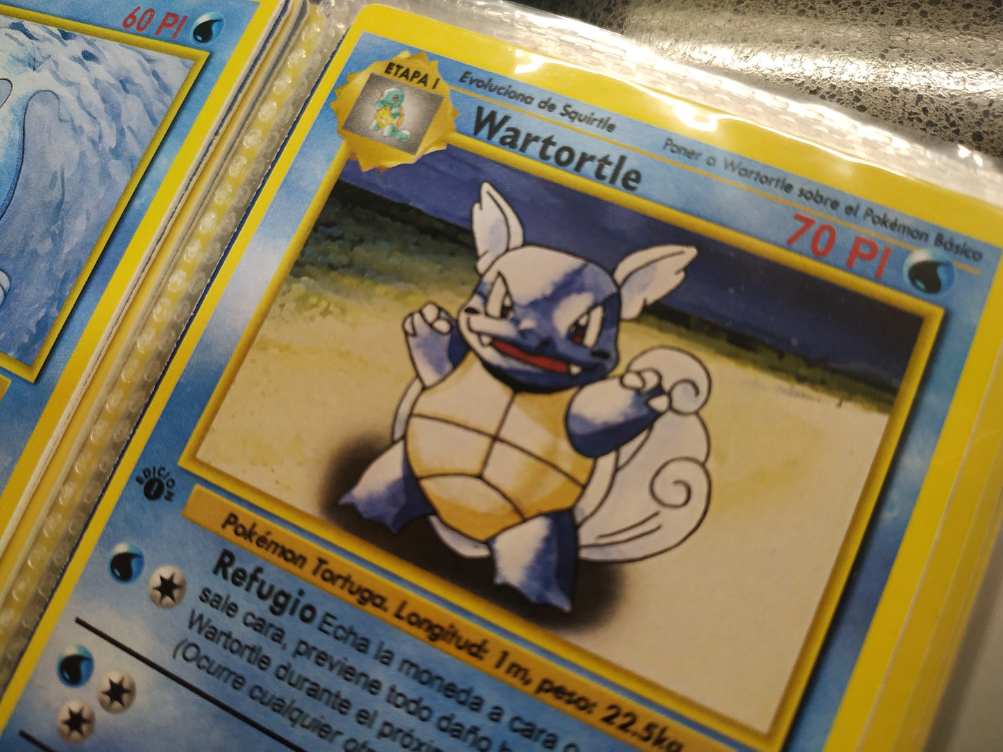 Carta Wartortle Edición 1