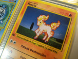 Carta Ponyta Edición 1