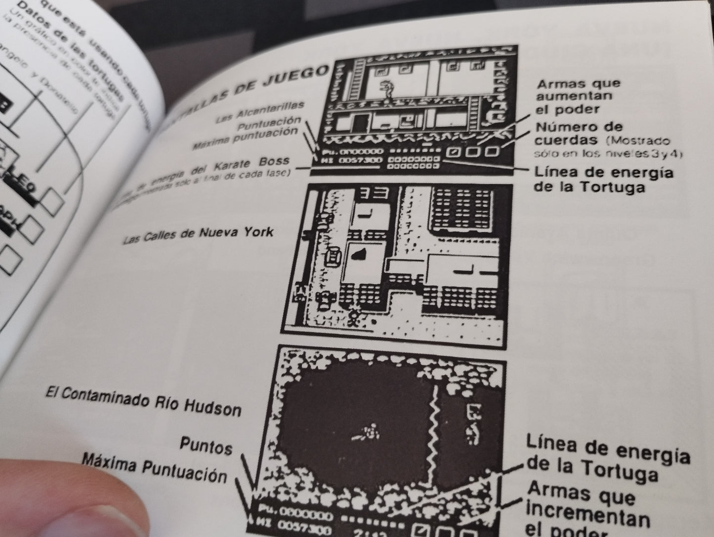 Caja de reemplazo Teenage Ninja Mutants