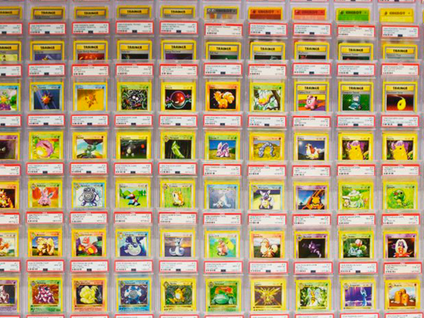 Base Set 1 completo Pokémon TCG 1ª Edición