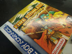 Caja de reemplazo Fire Emblem - The Sacred Stones